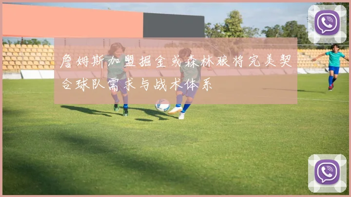 詹姆斯加盟掘金或森林狼将完美契合球队需求与战术体系